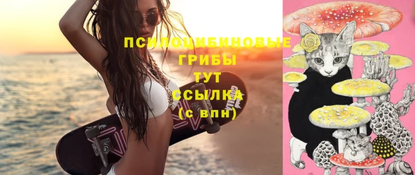MDMA Бородино