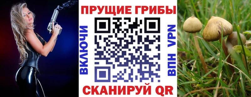 Купить закладки  Выборг  Псилоцибиновые грибы MAGIC MUSHROOMS 